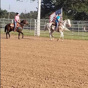 Meet your Posher, Bailey